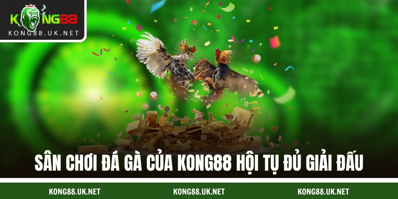 Sân chơi đá gà của KONG88 hội tụ đủ giải đấu